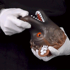 Cartoon Wolf Head Male Masturbator Sleeve with Textured Inner Channel