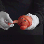 Crab-Inspired Ultra-Soft Silicone Pleasure Sleeve