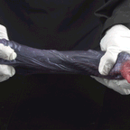 Phantom Serpent Webbed Alien Male Masturbator Cup