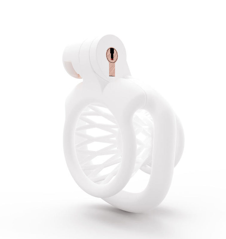 Inverted Chastity Cage for Men – 3D Printed Resin, Sissy Training, Small Size Fit