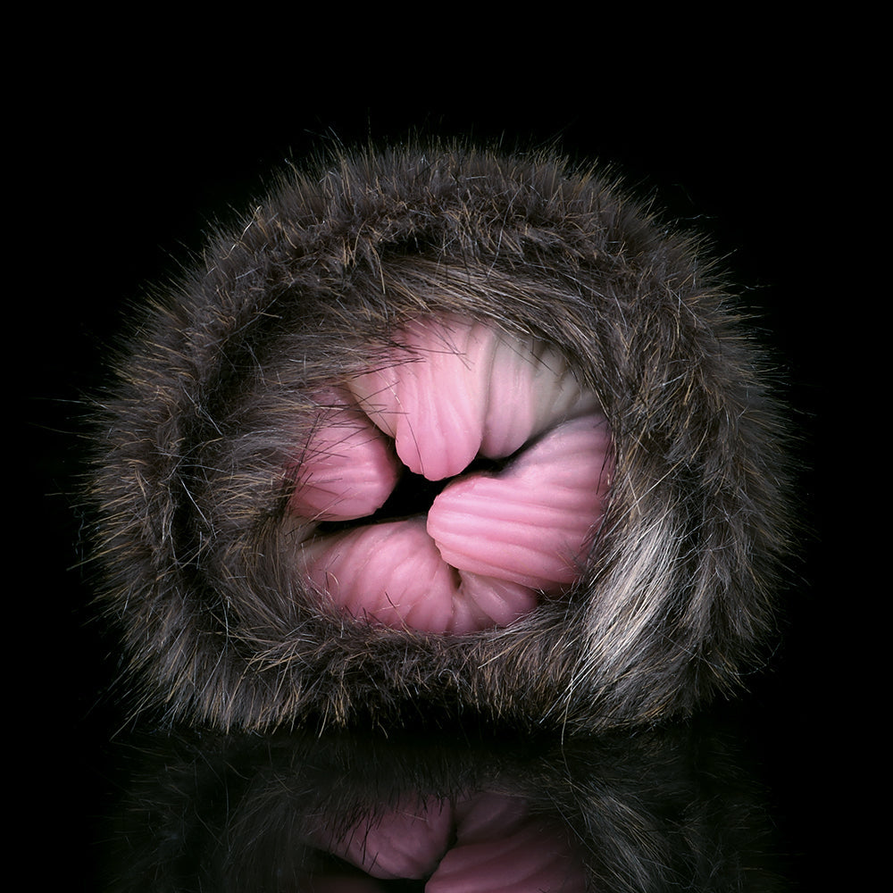 Domlust Black Cat Furry Pocket Pussy — Animal Vagina Silicone Masturbation Sleeve for Men