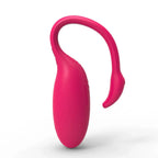 APP Controlled Vibrating Panty Egg - G Spot Vibrator Clit Stimulator Female Sex Toys