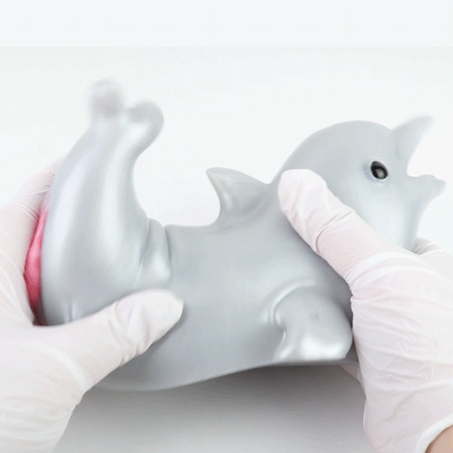 Dolphin Silicone Mini Sex Doll - Realistic Cute Pocket Pussy for Men Masturbation