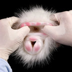 Guinea Pig Pocket Pussy Male Masturbator - Lifelike Animal Furry Sex Doll Penis Masturbator