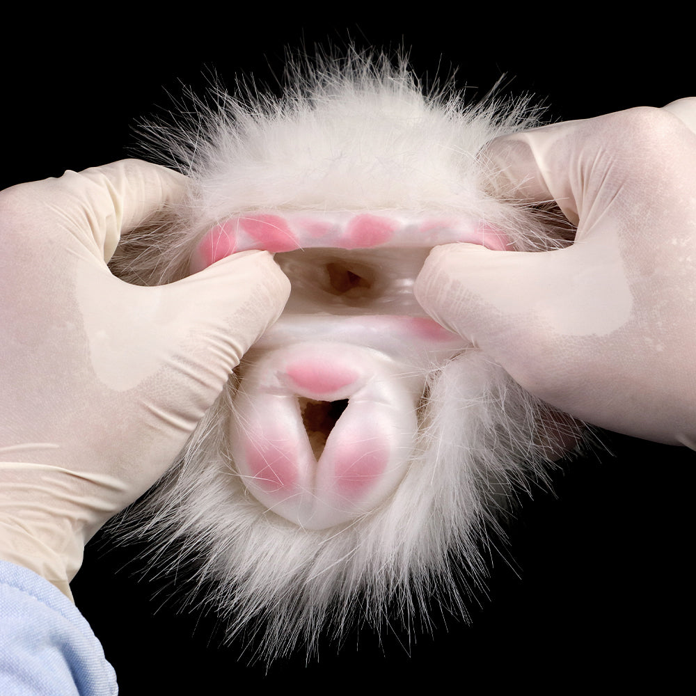Guinea Pig Pocket Pussy Male Masturbator - Lifelike Animal Furry Sex Doll Penis Masturbator