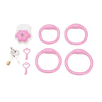 Cat Paw Protective Chastity Lock