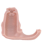 Fantasy Dogdildo Penis Sleeve Condom - Realistic Animal Cocksleeve Sex Toys for Men
