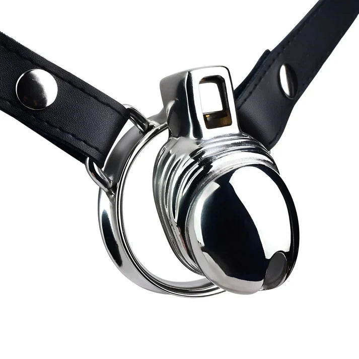 Metal Penis Shaped Chastity Cage LKM-065