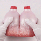 Goat Milk Fantasy Sex Doll – Sheep Breast Dual-Action Penis Masturbator Ma Sex Toy