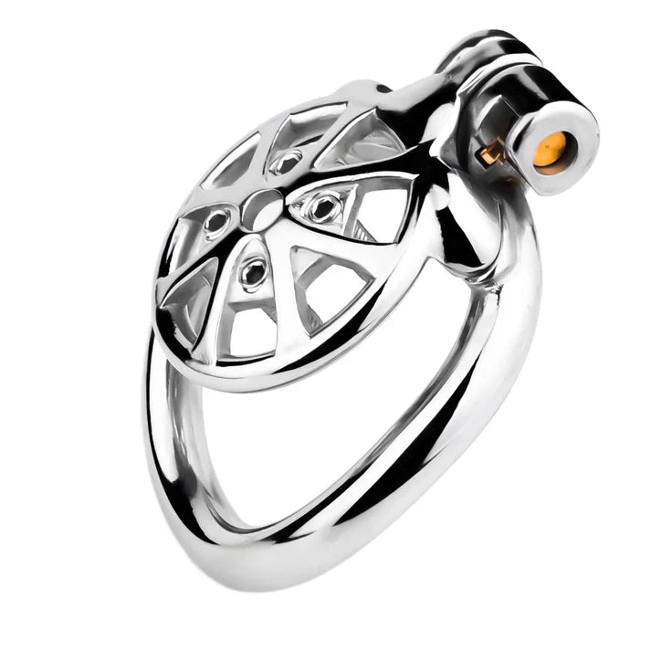 Stainless Steel Cock Torture Device with Removable Spikes | Adjustable Spiked Chastity Cage