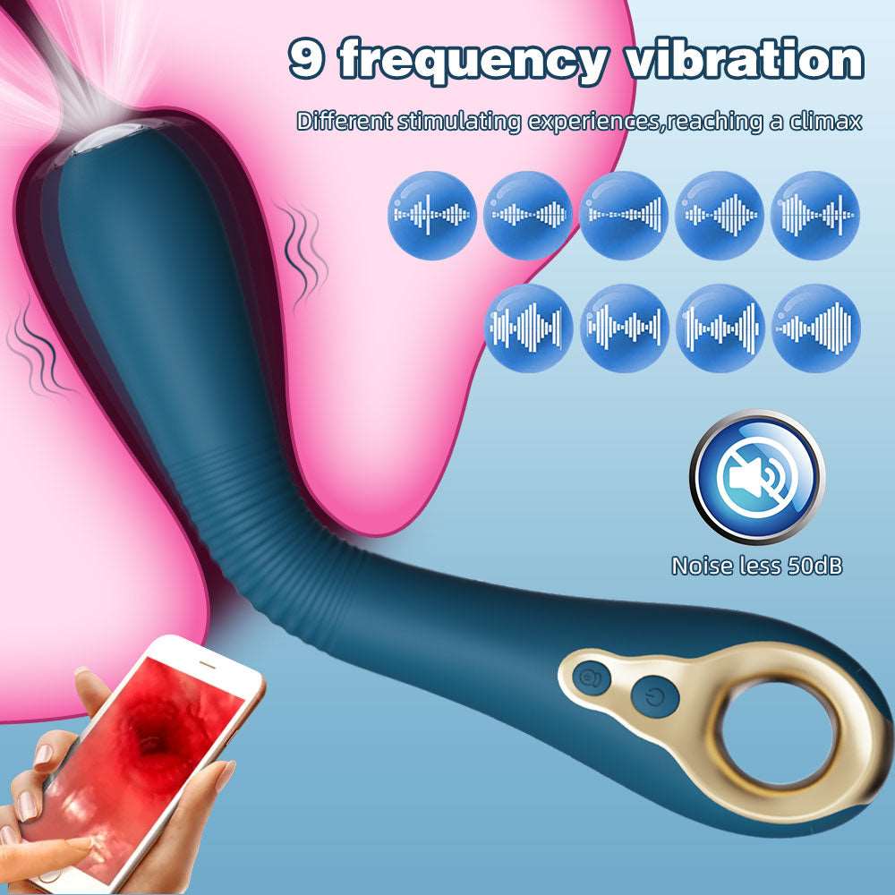 Endoscopic Vibrating Dildo – 360° Bendable | APP Control | Heat | G-Spot & Prostate | Pink / Blue