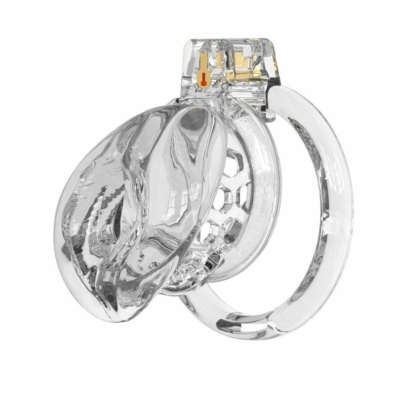 Soft Silicone Chastity Cage – Clitoral-Inspired Design | Semi-Transparent & Flexible Rings