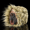 Tibetan Yak Pocket Pussy – Furry Silicone Animal Masturbator with Realistic Vaginal Canal | Domlust