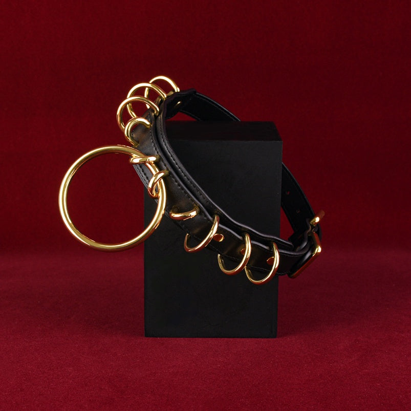 Fantasy Metalen Ring Halsband Bondage Kinky Set - Extreme Seks BDSM Speeltje voor Training en Dominantie