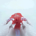 Fire Dragon Mini Sex Doll - Fantasy Silicone Anime Realistic Dinosaur Mens Masturbation Toy