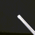Stainless Steel Urethral Sounding Rod with Lubricant Applicator & Pouch