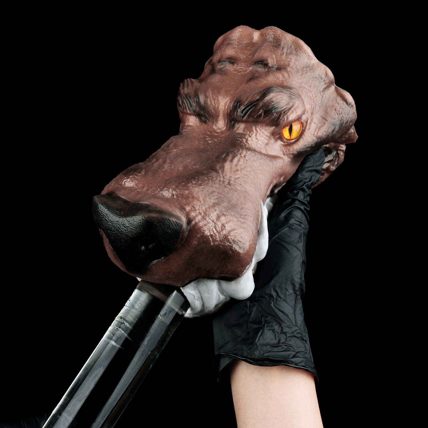 Jackal Dune Wolf Head Pocket Pussy – Beast Blowjob Male Masturbator