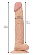 10 inch Long Realistic Dildo - Lifelike Vein Glan Small Testicles Sex Toys for Women