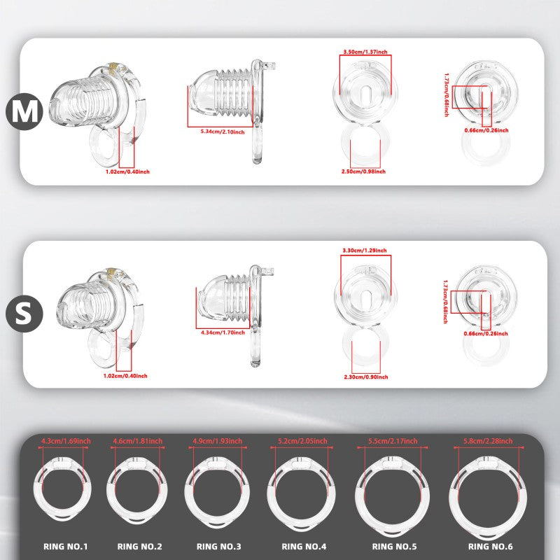 Transparent Flexible Chastity Cage with Stretchable Design （R6）