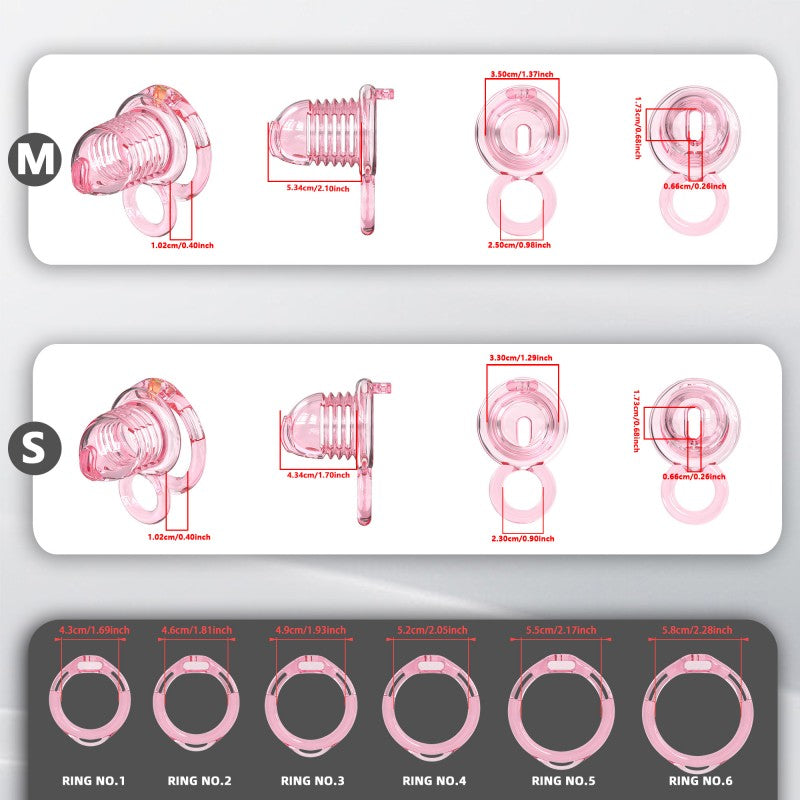 Transparent Flexible Chastity Cage with Stretchable Design （R6）