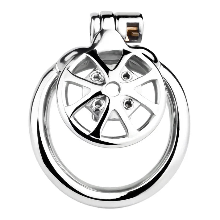 Stainless Steel Cock Torture Device with Removable Spikes | Adjustable Spiked Chastity Cage
