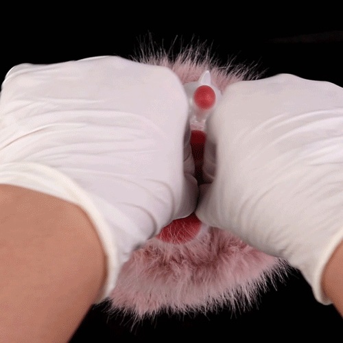 Fantasy Cat Paw Animal Pussies Furry Sex Doll - Male Plush Silicone Penis Masturbation Cup