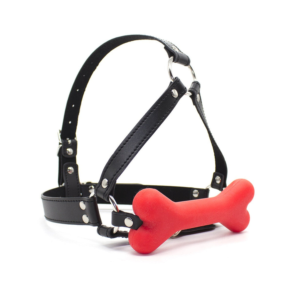 Silicone Bone Gag Collection | Soft Silicone Bone Design with Adjustable Strap System