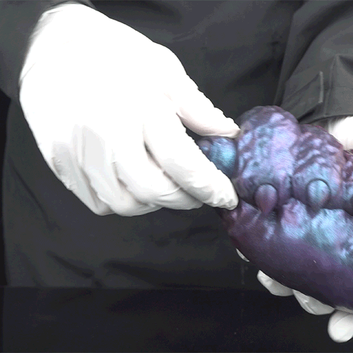 Monster Claw Pocket Pussy — Dragon Hand Grip Stroker | Alien Fetish Silicone Masturbator