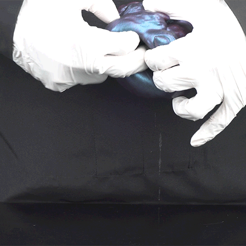 Monster Claw Pocket Pussy — Dragon Hand Grip Stroker | Alien Fetish Silicone Masturbator