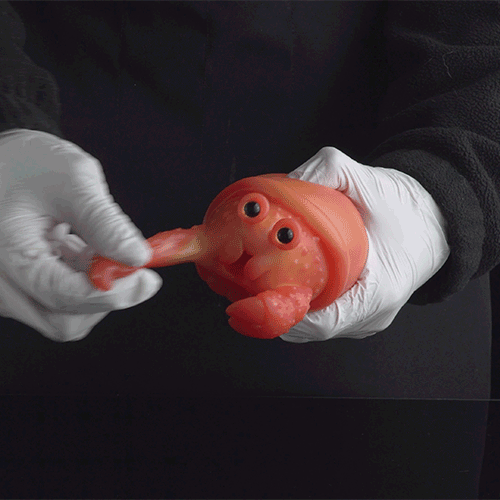 Hermit Crab Pocket Pussy – Discreet Fantasy Oral Silicone Masturbator | Domlust