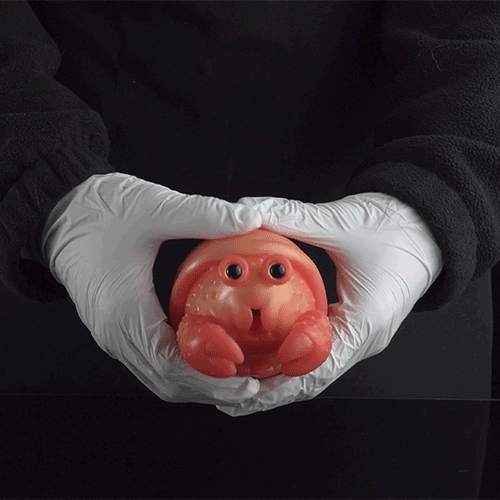 Hermit Crab Pocket Pussy – Discreet Fantasy Oral Silicone Masturbator | Domlust