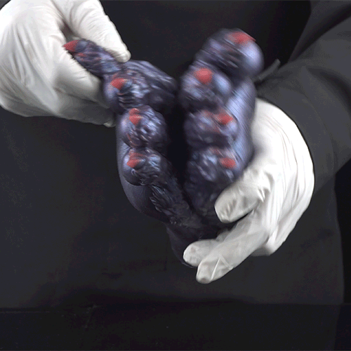 Dark Fantasy Beast Paw Silicone Pocket Pussy – Hidden Channel Claws for Men Blowjob Masturbation