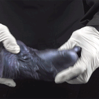 Fantasy Demon Foot Silicone Sex Doll – Textured Monster Sole Masturbator with Hidden Inter-Toe Channel
