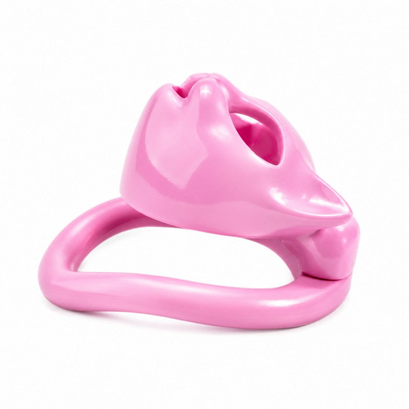 Cat Face Chastity Cage