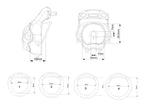 Cat Paw Protective Chastity Lock