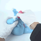 Azure Dragon 2-in-1 Fantasy Torso — Dragon Scale Dildo & Alien Pocket Pussy by Domlust