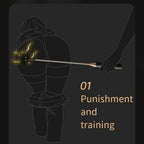 Fantasy Electric Shock Leather Paddle - Submissive Electrosex BDSM Bondage Kinky Sex Toys