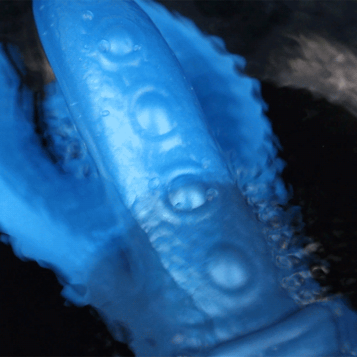 Fantasy Silicone Monster Tentacle Dildo Butt Plug – Strap-on Harness Sex Toy for Women