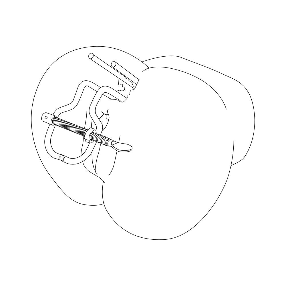 Cylos-Adjustable-Metal-Spreader-Vaginal-Anal-Speculum