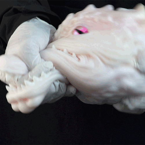 White Dragon Torso Pocket Pussy – Fantasy Oral Silicone Masturbator | Domlust Fetish