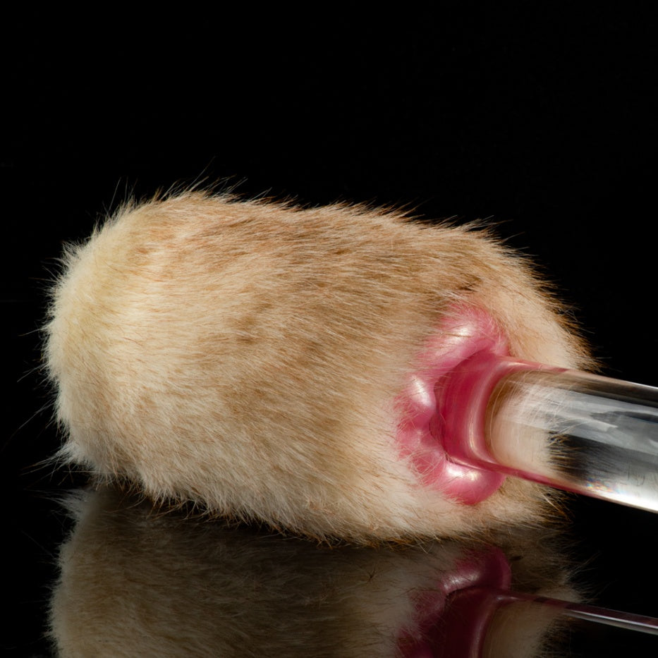 Lop Rabbit Furry Pocket Pussy – Removable Fur Animal Masturbator