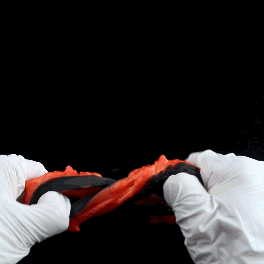 Dragon Scale Cock Ring Set – Premium Platinum Silicone | 4 Sizes | Black & Orange Ignition Series