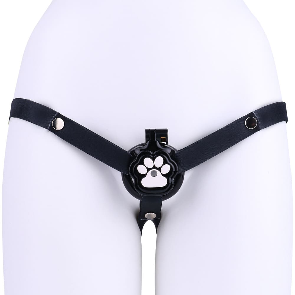 Felis-Cat-Paw-Resin-Male-Chastity-Cage