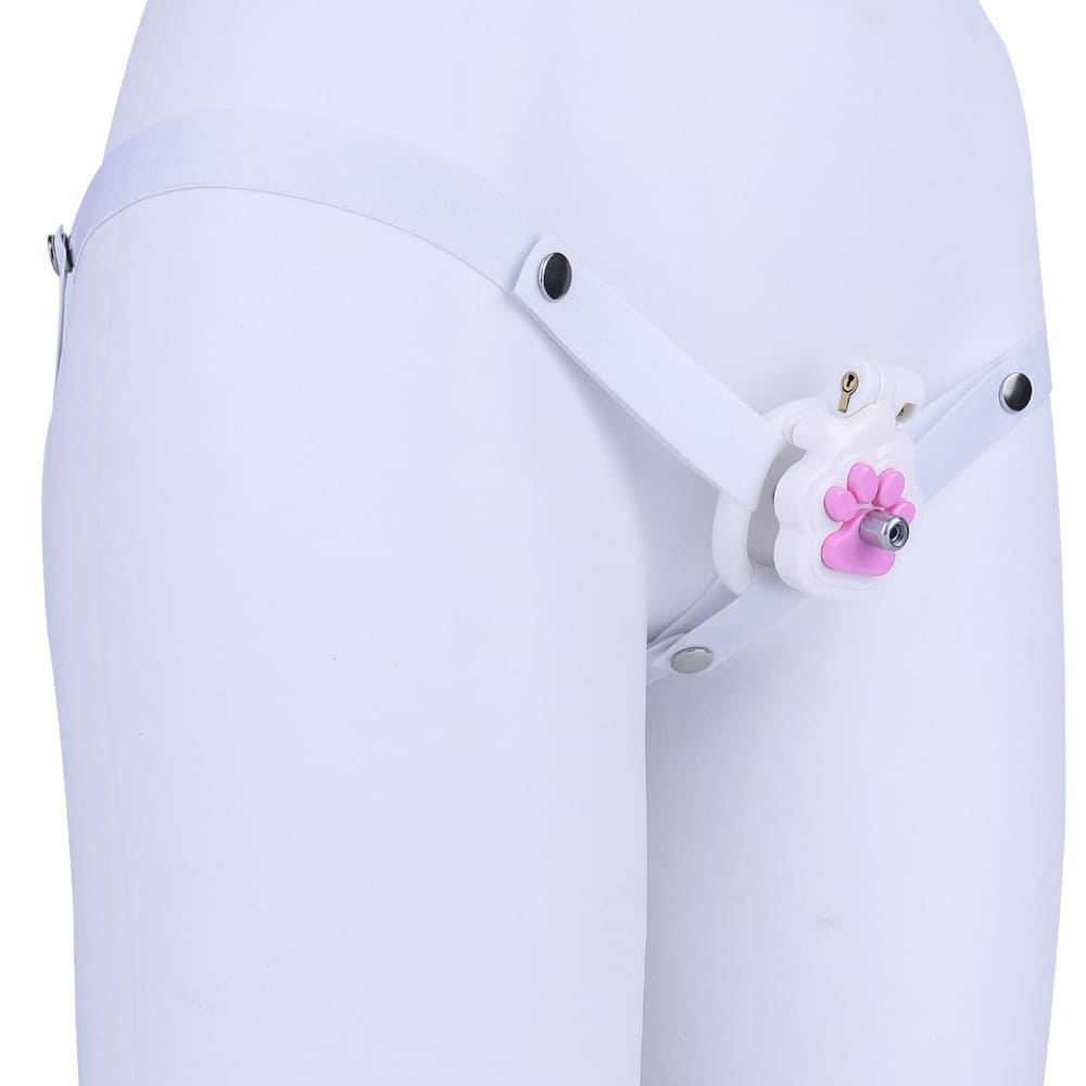 Felis-Cat-Paw-Resin-Male-Chastity-Cage