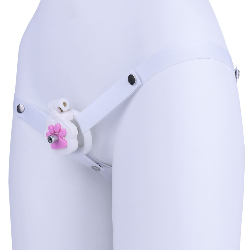 Felis-Cat-Paw-Resin-Male-Chastity-Cage