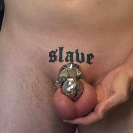 Metal Cock Chastity Cage with Invisible Button Lock – 6-Size Adjustable, Ventilated Flat-Style Chastity Device for Men
