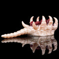 Scutosaurus Fantasy Pocket Pussy Grinder | Premium Silicone Beast Sex Toy
