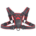 Juliettoys-Zevar-Bulldog-Harness-BDSM-Roleplay