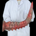 Nereus-Spiked-Tentacle-Anal-Dildo-Huge-Anal-Toy