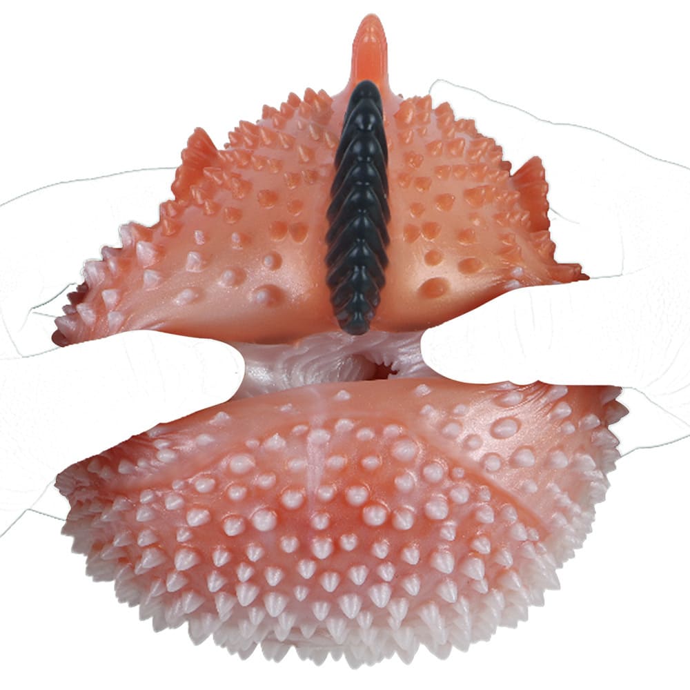 Pufferfish-Silicone-Fantasy-Male-Masturbator